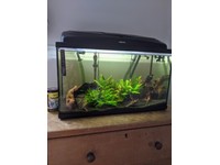 aquael fish tank